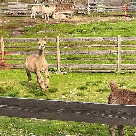 Ferienhaus 2 Bedroom Lovely In Grue Finnskog Svullrya