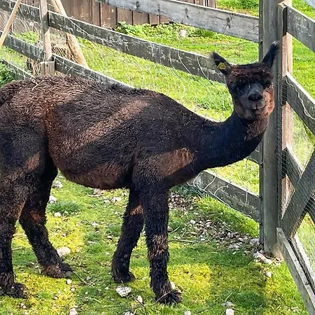 2 Bedroom Lovely In Grue Finnskog